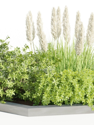 outdoor plants collection vol 88-Blender