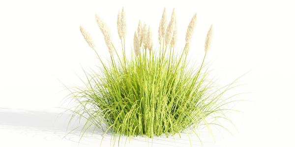 Outdoor plants for landscape vol 205-Blender