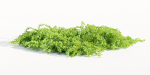 Outdoor plants for landscape vol 205-Blender