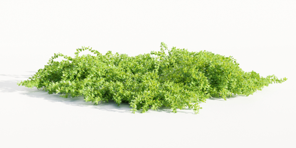 Outdoor plants for landscape vol 205-Blender
