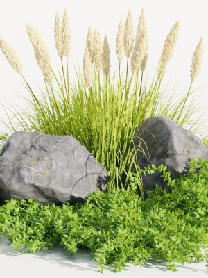 Outdoor plants for landscape vol 205-Blender