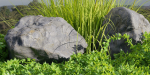 Outdoor plants for landscape vol 205-Blender