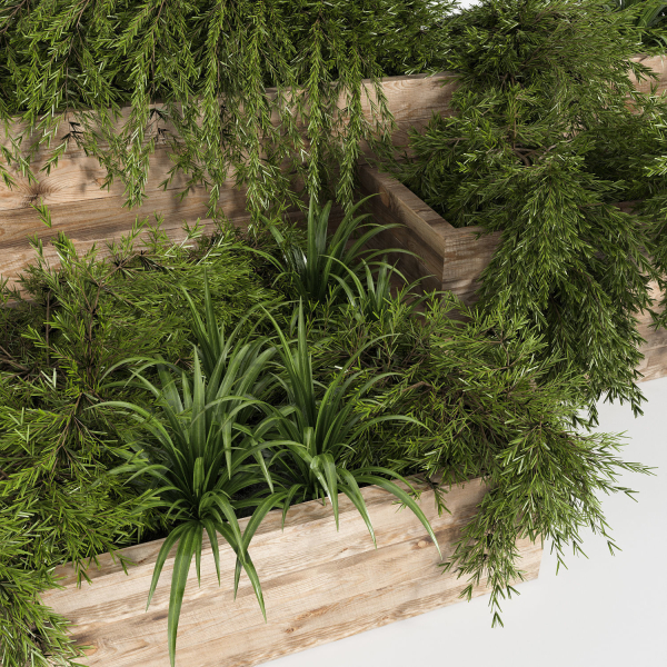 Outdoor Plants Tree in Plant Box Set0