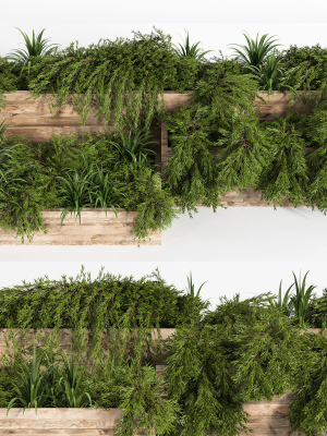 Outdoor Plants Tree in Plant Box Set0