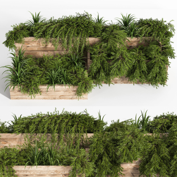 Outdoor Plants Tree in Plant Box Set0