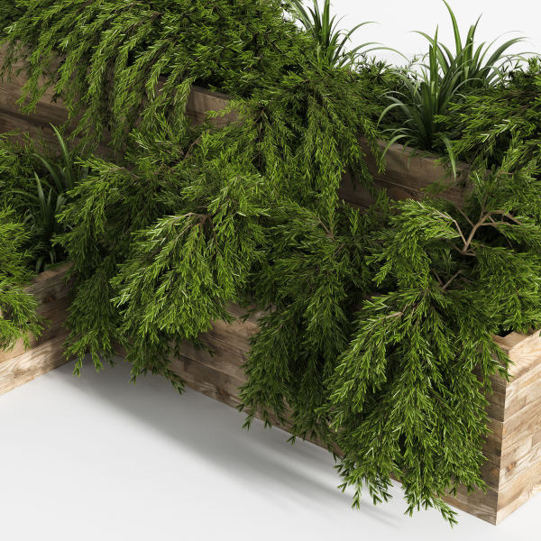 Outdoor Plants Tree in Plant Box Set0