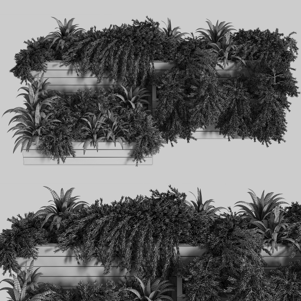 Outdoor Plants Tree in Plant Box Set0
