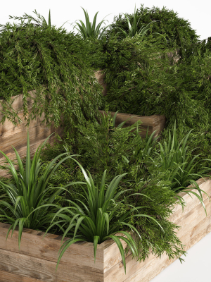outdoor-plants-tree-in-plant-box-set0-3d-model-f85a3c1327
