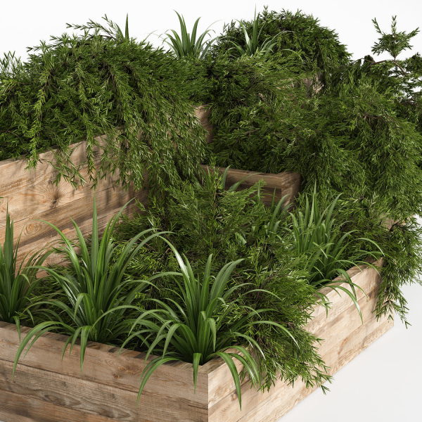 Outdoor Plants Tree in Plant Box Set0
