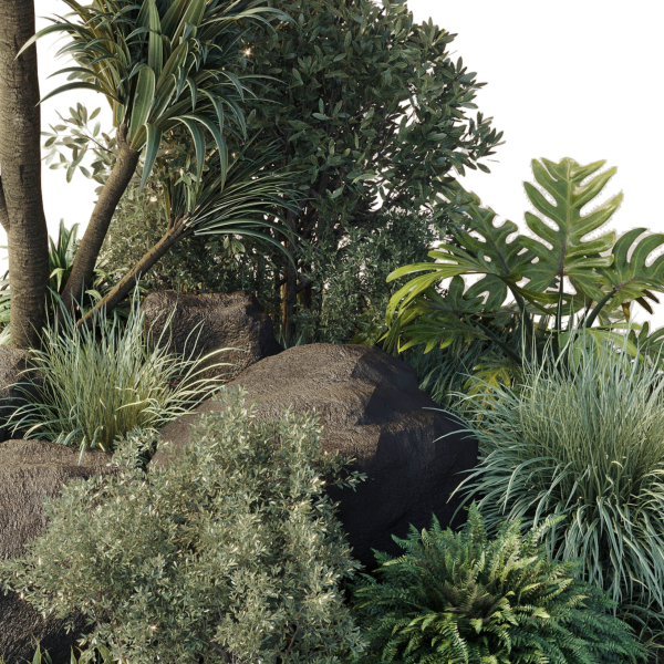 outdoor pot palm  tree  bush   fern the garden pot