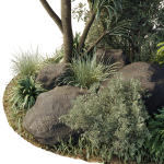 outdoor pot palm  tree  bush   fern the garden pot