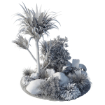 outdoor pot palm  tree  bush   fern the garden pot