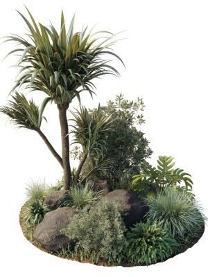 outdoor pot palm  tree  bush   fern the garden pot