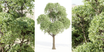 Outdoor Trees Collection vol 93-Blender