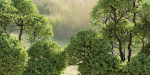 Outdoor Trees Collection vol 93-Blender