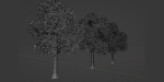 Outdoor Trees Collection vol 93-Blender