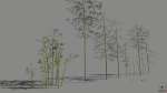 Pack - Bamboo trees - 10 models and UE4 animated material
