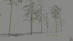Pack - Bamboo trees - 10 models and UE4 animated material