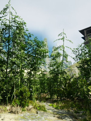 Pack - Bamboo trees - 10 models and UE4 animated material