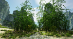 Pack - Bamboo trees - 10 models and UE4 animated material