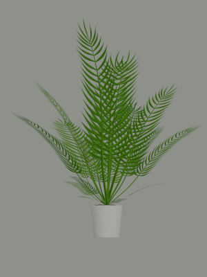 palm-plant-3d-model-b39341f192