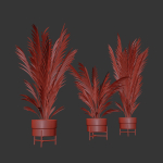 Palm plants 2
