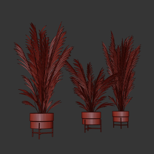 Palm plants 2