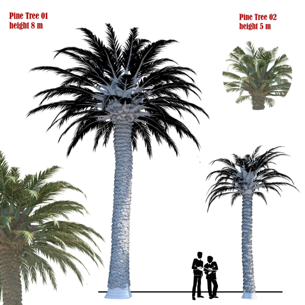 Palm Tree 01