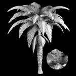 palm tree