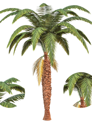 palm tree