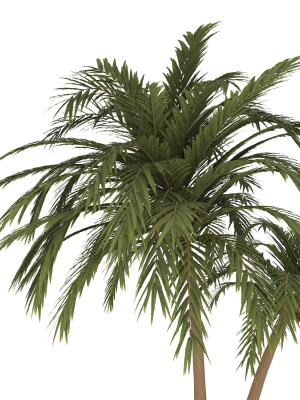palm-tree-70-3d-model-e17e2a8176