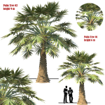 palm tree set 02