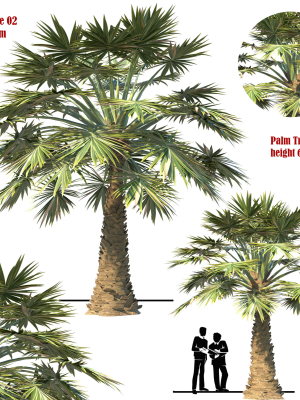 palm-tree-set-02-3d-model-max-obj-fbx