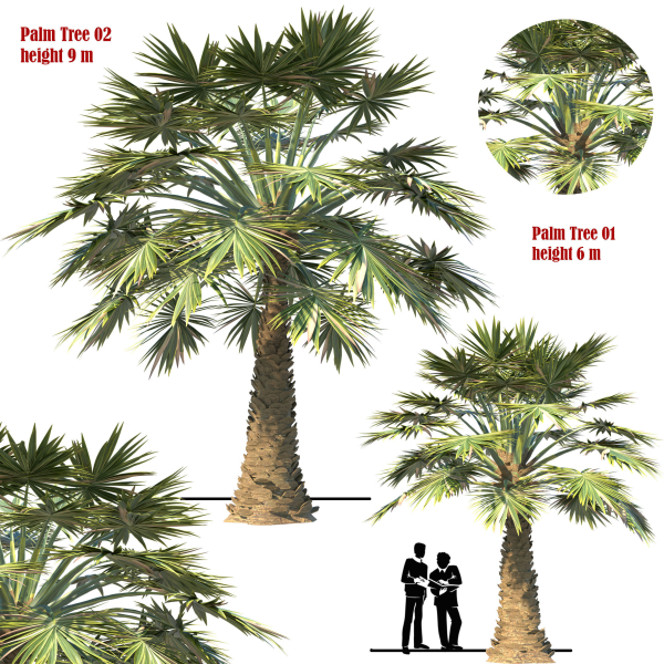 palm tree set 02