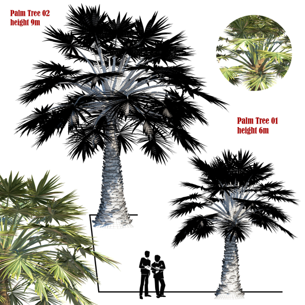 palm tree set 02
