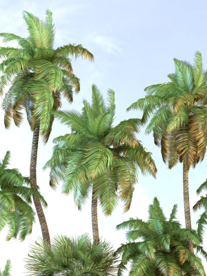 palm-trees-tropical-3d-model-76e1f0b37b