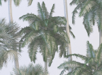 Palm trees Tropical