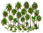 Palms low poly tropical palm trees