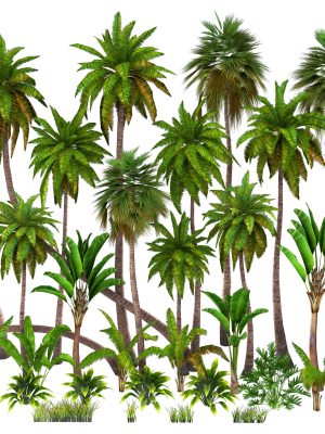 palms-low-poly-3d-model-low-poly-max-obj-fbx