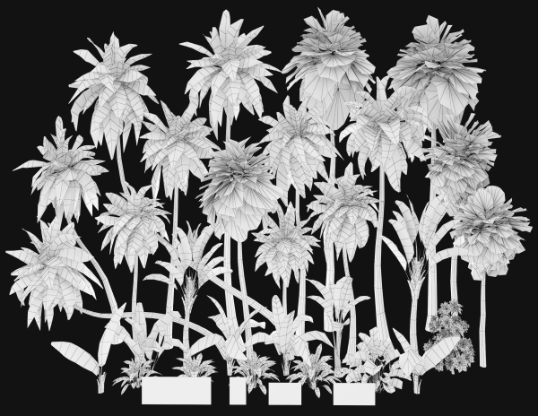 Palms low poly tropical palm trees