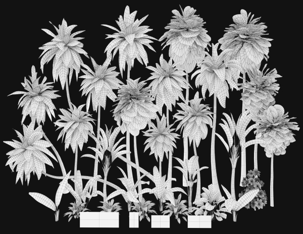 Palms low poly tropical palm trees