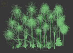 Palms low poly tropical palm trees