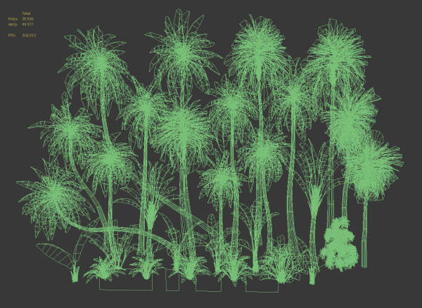 Palms low poly tropical palm trees