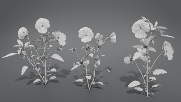 Pansy VFX Grace