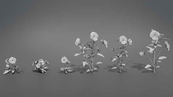Pansy VFX Grace