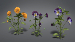 Pansy VFX Grace