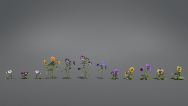 Pansy VFX Grace