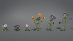 Pansy VFX Grace
