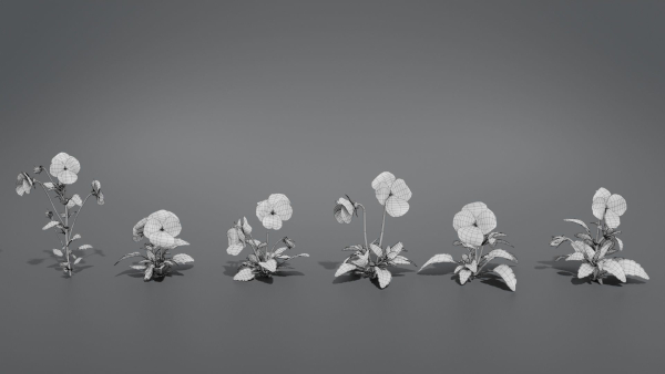 Pansy VFX Grace