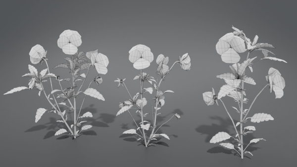 Pansy VFX Grace